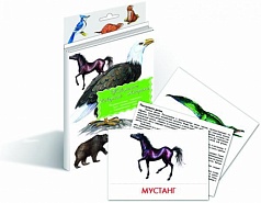 Дидактические карточки «Животные Северной Америки»