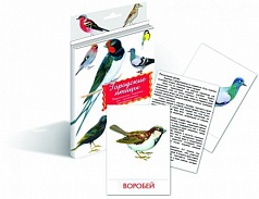 Дидактические карточки «Городские птицы»