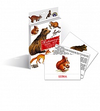 Дидактические карточки «Животные наших лесов»