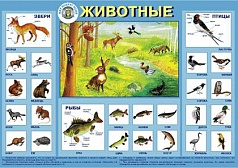 Плакат "Животные"