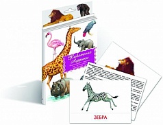 Дидактические карточки «Животные Африки»