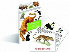 Дидактические карточки «Животные Азии»